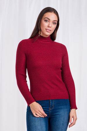 Ribbed Polo Neck Knit Top
